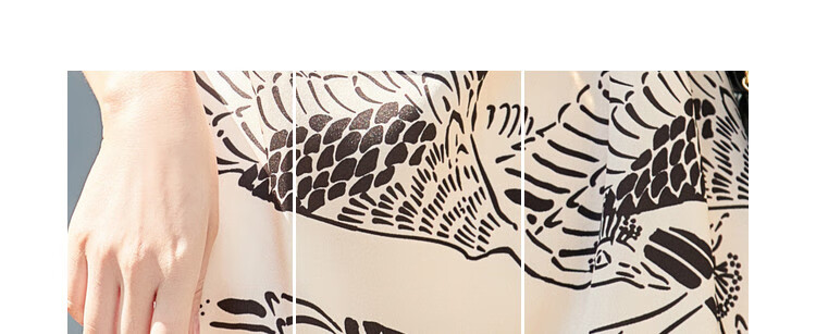 DME Printed Dress Women Tie Casual Vintage Elegant Simple Chiffon Dress 4