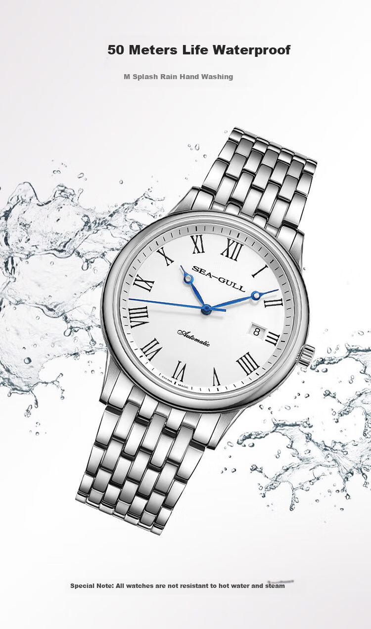 SEAGULL Automatic Mechanical Watch for Men, Simple Calendar Men's Watch, Birthday Gift for Men, National Watch 819.13.1054 13