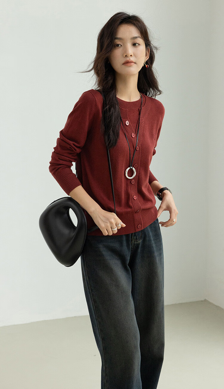 Dme [Containing Wool] Spring And Autumn Stylish Faux Two-Piece Embroidered Round Neck Sweater, Petite Knit Top for Wome 4