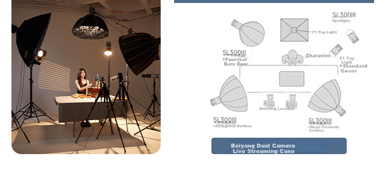 Beiyang SL300III Live Streaming Fill Light, Photography Camera Lighting, 300W Professional Live Streaming Beauty Light, Spherical Lamp, Deep Throw Light, Portrait Video Soft Light, Film And Television Shooting Light 9