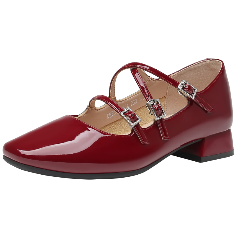 Dusto Mary Jane Shoes for Women, Spring 2025 New Fashion Casual Chunky Heel Ankle Strap Square Toe C0033
