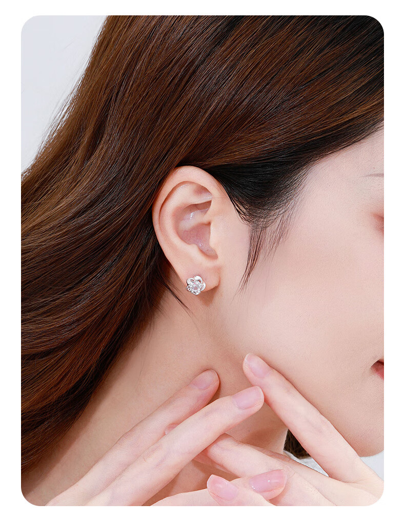 MOLADY S925 Silver Needle Stud Earrings for Women, Weekly Gift Box Set, Anniversary Birthday Gift for Girlfriend Or Wife 7