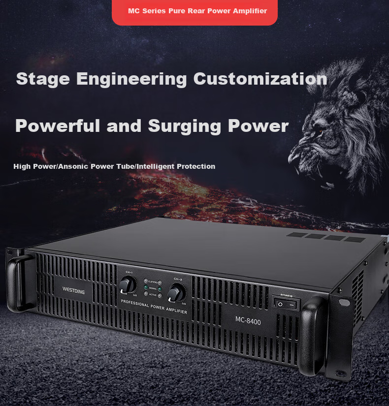 WESTDING Amplifier Home Theater Sound System Combination, 2.0 Channel 1200W Peak Power, 393 Integrated Amplifier All-In Machine, One Unit 1