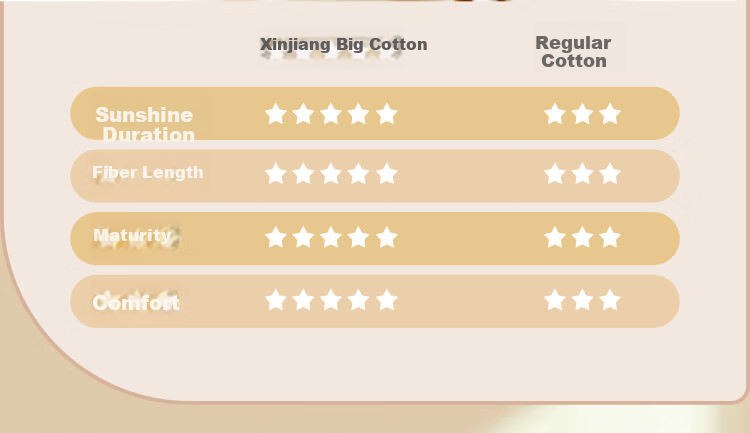 Bravo Furniture Bedding Set, Pure Cotton Duvet Cover, Bed Sheet, Quilt Cover, Double Bed Linen Set, 230*229cm 5