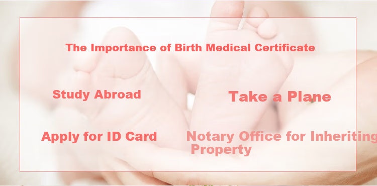Siyicai Birth Certificate Protector (1 Pack), Thickened, Dark Green, Baby Medical Document Cover Sleeve 2