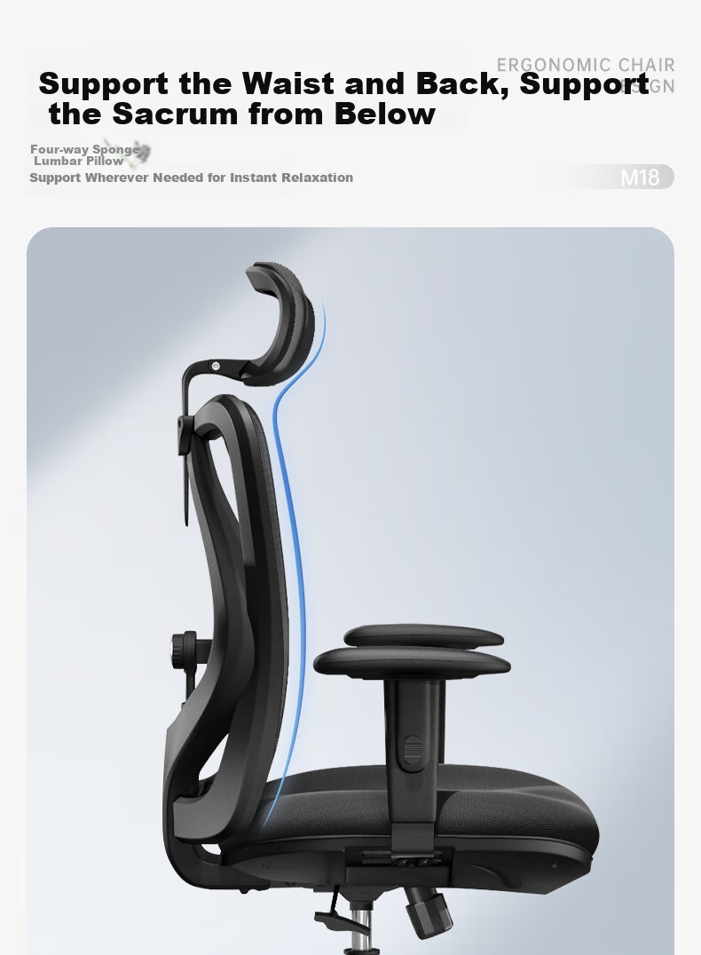 SIHOO M18 Ergonomic Office Chair, Home Computer Chair, Swivel Chair with Four-Way Lumbar Support 6
