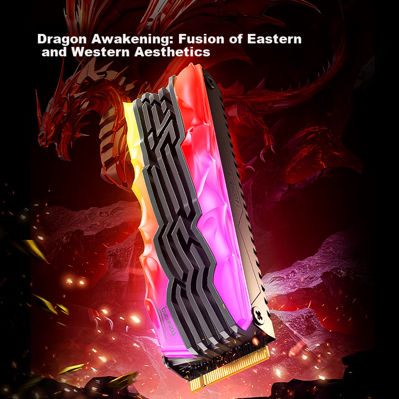 FANXIANG 1TB SSD Solid State Drive, M.2 Interface NVMe Protocol PCIe4.0 TLC NAND TLC RGB Colorful Lighting Effects, Read Speed 7400MB/s, Computer Upgrade S790R