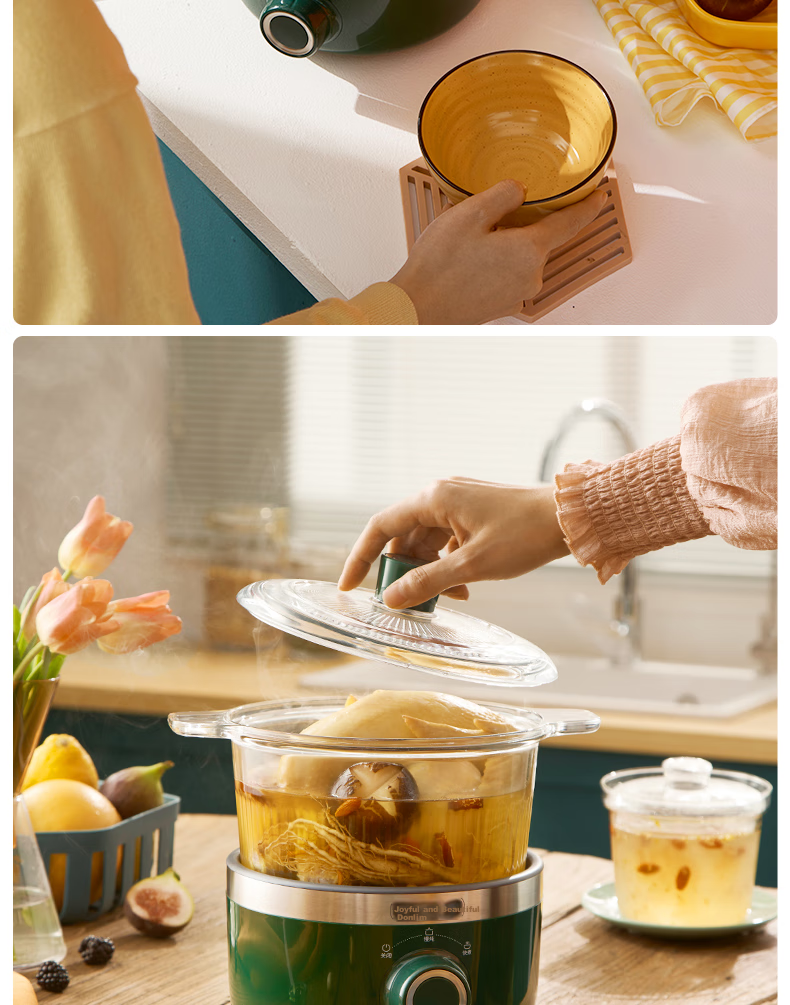 Donlim Electric Stew Pot, Soup And Bird's Nest Double Boiler, Health-Preserving Water Bath Cooker, BB Soup Pot, Small Glass Electric Stew Pot for Nourishment And Beauty, DL-9002 (Forest Green) 8
