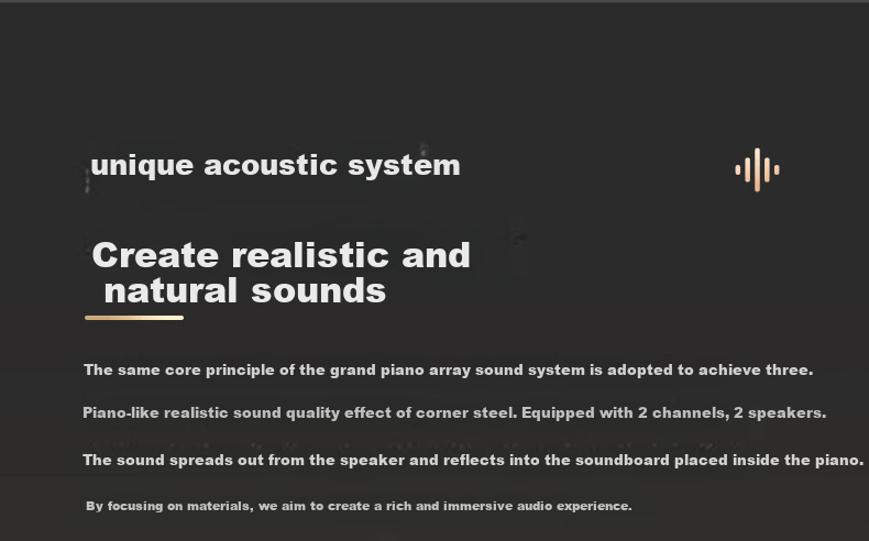Casio Digital Piano AP300, Black Intelligent 88-Key Weighted Hammer Professional Upright Digital Piano Set 4
