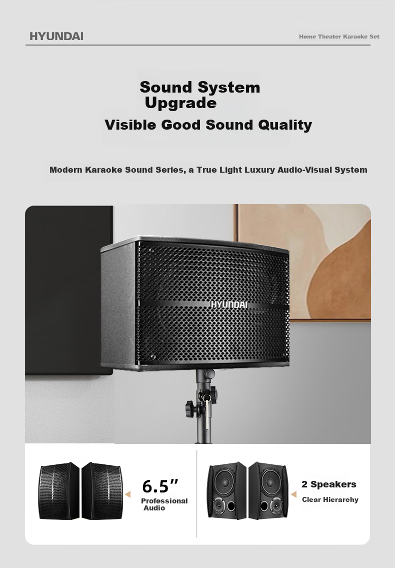 HYUNDAI Home Theater KTV Sound System Set, Professional Amplifier for Living Room, Conference Room, Karaoke, Complete Package with Speakers And Equipment for Shops And Karaoke Venues 4