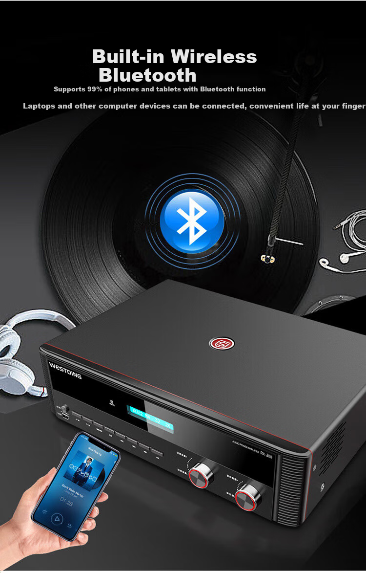 WESTDING Amplifier for Home Theater with Speaker Combination, 2.0 Channel, 1200W Peak Power, AK-393 Amplifier, One Unit 9