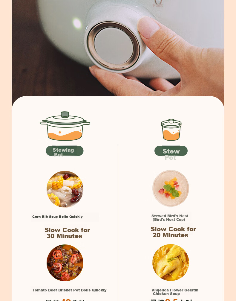 Donlim Electric Stew Pot, Soup And Bird's Nest Double Boiler, Health-Preserving Water Bath Cooker, BB Soup Pot, Small Glass Electric Stew Pot for Nourishment And Beauty, DL-9002 (Forest Green) 17