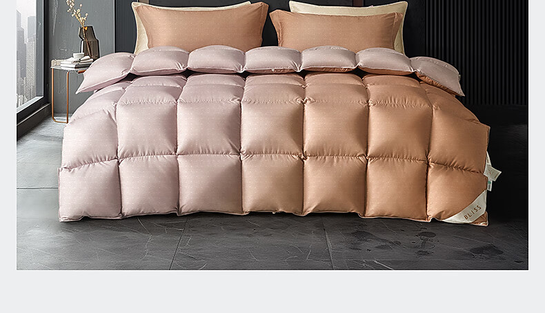 Bellees 90% Duck Down Quilt Winter Double Autumn and Winter Comforter 1000g Filling 200x230cm 18