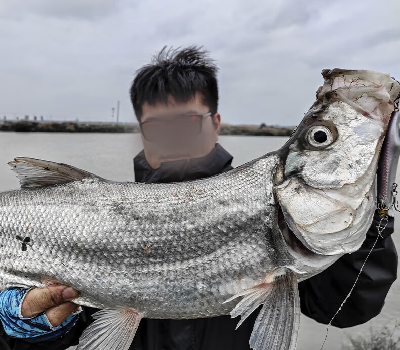 Guowangliya Lure, Qiao Ying Sinking Pencil Long-Casting Lure, Freshwater Popper Bait, Carp-Specific Killer Bait, 11g/LN04 1