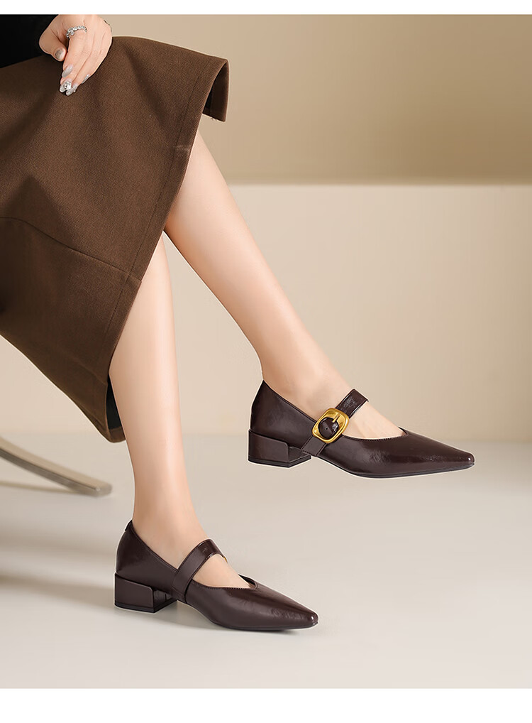 Josiny French Pointed Toe Single-Strap Mary Jane Shoes for Women, New Spring And Autumn 2026 Style Leather Shoes, Retro Chunky Heel Pumps, Black, Size 35 9