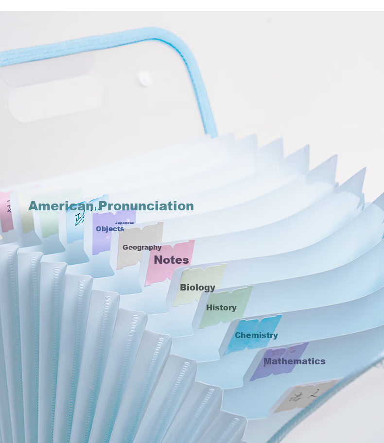 Deli 13-Compartment A4 Vertical Accordion File Folder for Exam Paper Storage, Portable Subject Organizer for Students, Homework Folder, Elementary And High School Stationery Jelly Weather Pattern, Random Color 6