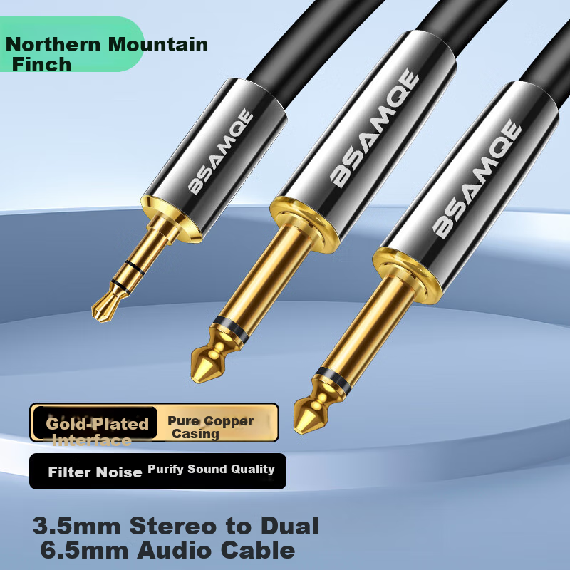 Beishanque 3.5mm to Dual 6.5mm Audio Cable Splitter, 3.5 to Dual 6.35 Large Two-Core Cable, for Connecting Phones, Laptops, Mixing Desks And Speakers, 1 Meter BSQ-R022