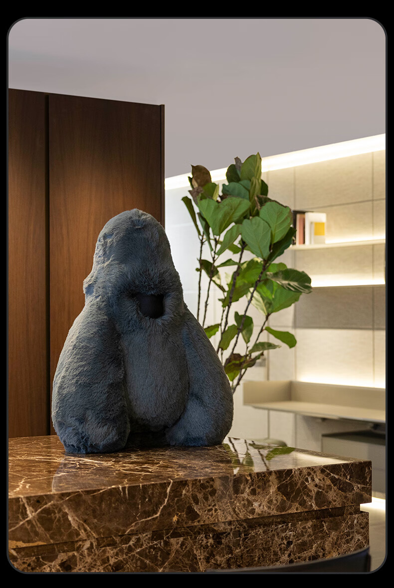 IF Speaker David I Bluetooth Speaker Short Plush Version, Olive Green Limited Edition High-Fidelity Speaker Art Decoratio 10