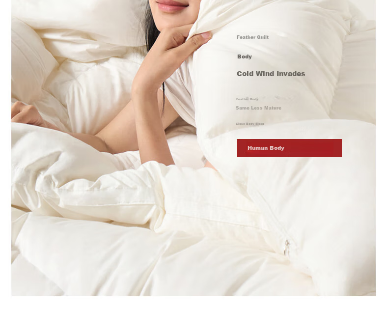 Interlagos Class A 90% White Goose down Comforter, Imported from Japan, Air Conditioning Quilt, 320g, 220*240cm, White 28