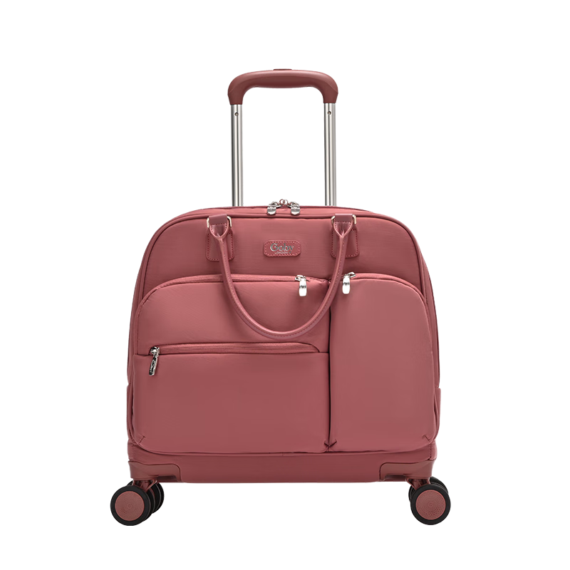 Goby Trolley Suitcase, Small Lightweight Carry-On Luggage, Waterproof, Champagne Red, 16 Inches
