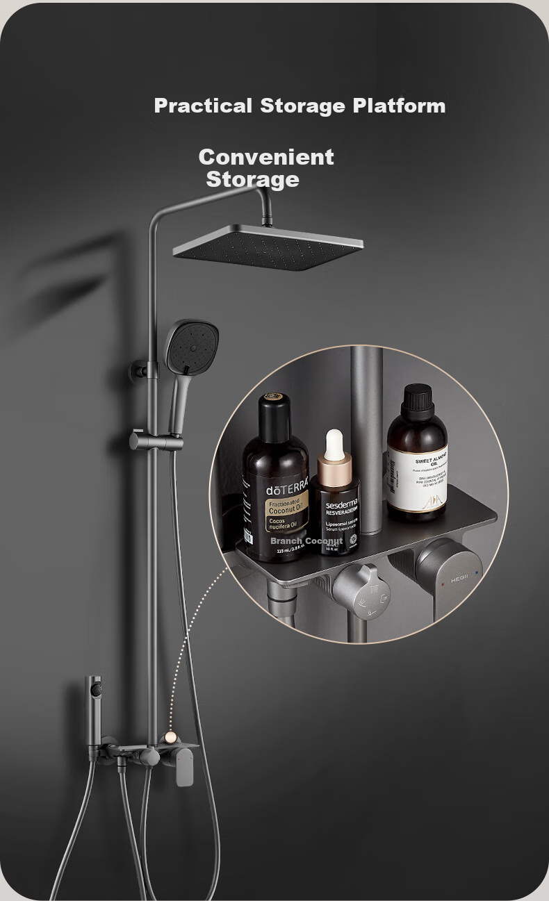 HEGII Shower Head D20, Copper Alloy Descaling Self-Cleaning Storage Shower Head HMF951-333 9