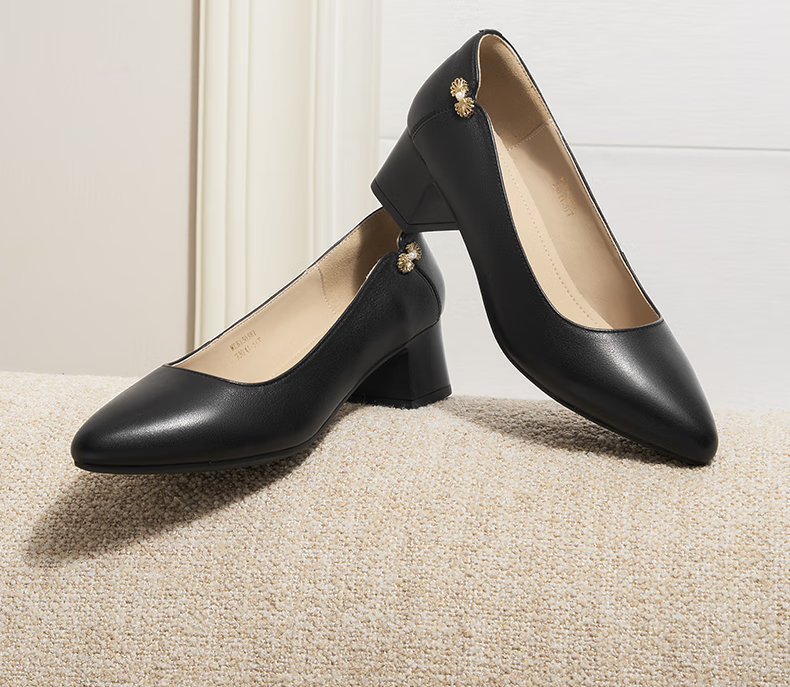 RED DRAGONFLY Shallow-Mouth Pumps, Women's Spring Shoes, Chunky Heel High Heels, French-Style Commuter Leather Shoes WLB15058, Beige, Size 39 9