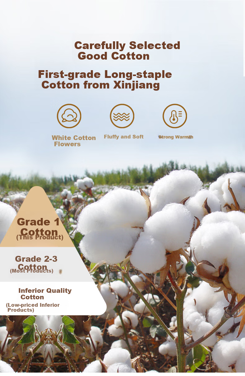 Sushidai Class A Xinjiang Cotton Mattress Pad Cover, Double Size Thickened Removable Washable Quilt, 1.8*2 Meters, 6 Ji 5