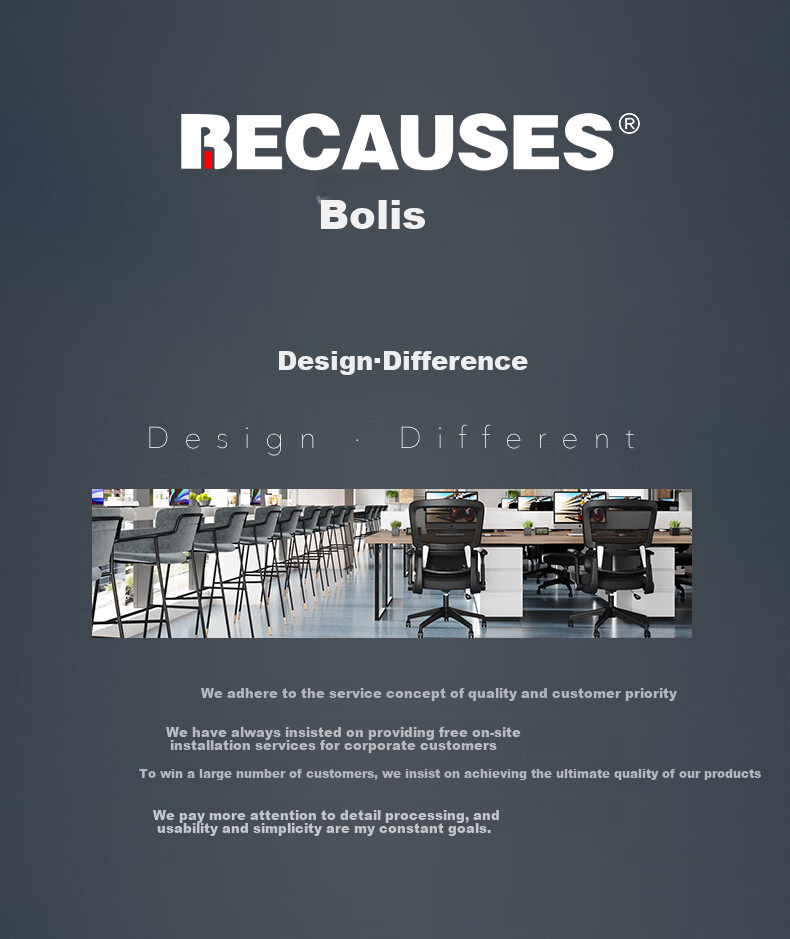 BECAUSES Ergonomic Chair, Comfortable for Long Sitting, Computer Chair, Reclining Office Chair, Gaming Chair, Study Chair, Streamer Chair 0815H 2