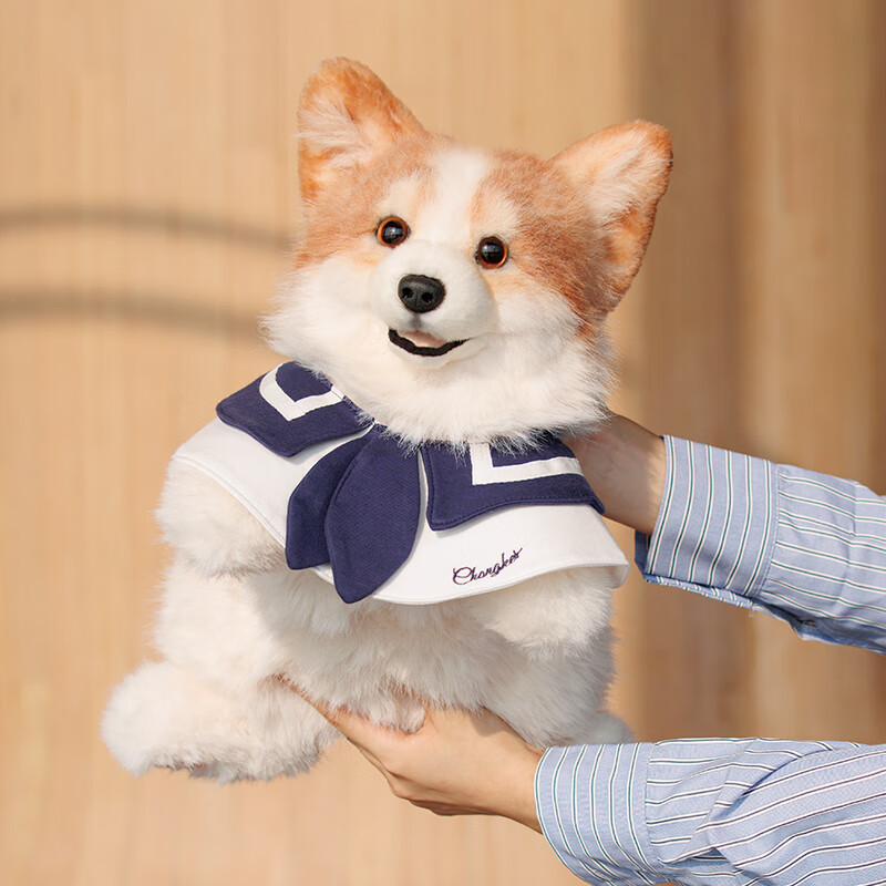 Chongke Corgi Backpack Plush Toy, Cute Gift for Girlfriend's Birthday