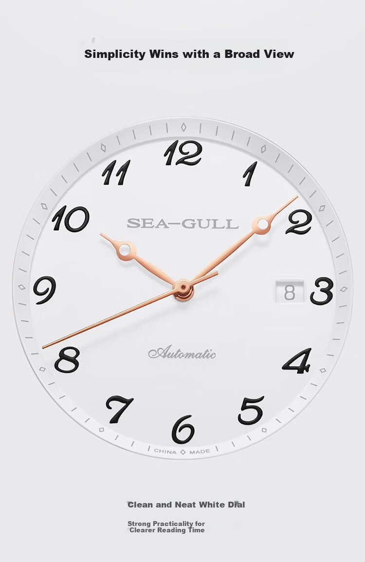 SEAGULL Automatic Mechanical Watch for Men, Simple Calendar Men's Watch, Birthday Gift for Men, National Watch 819.13.1054 24