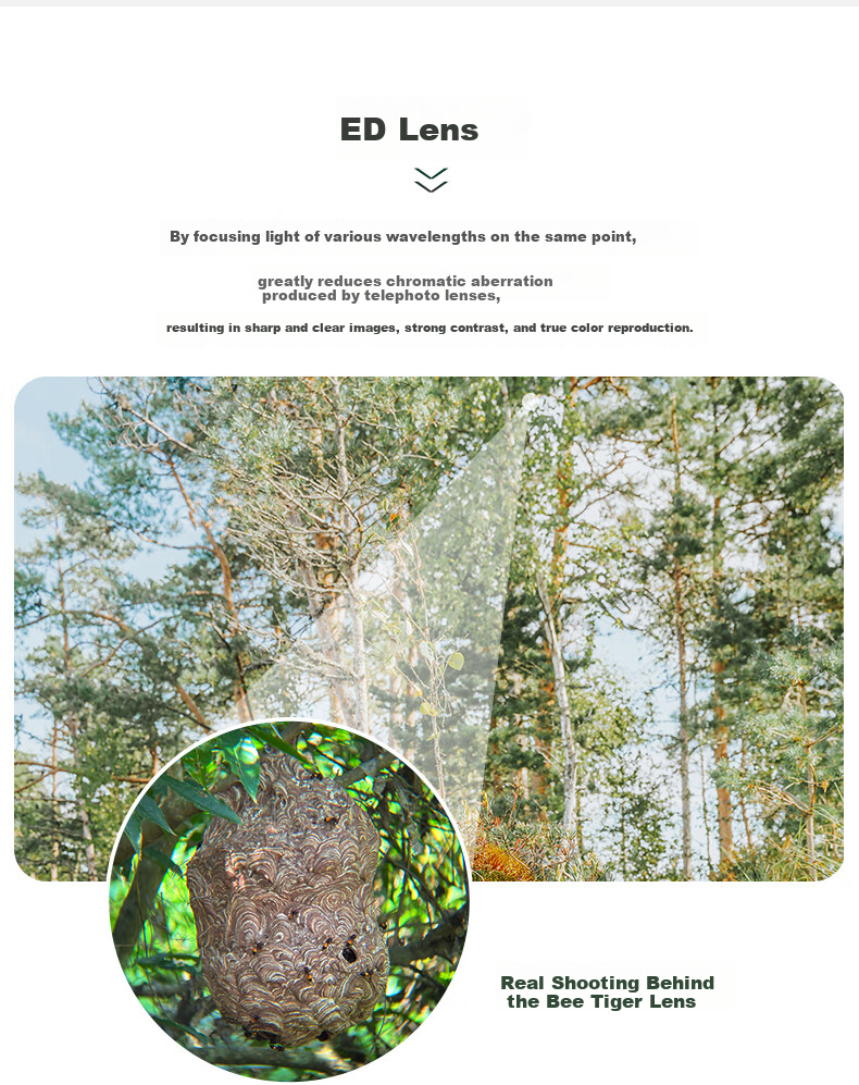 BOSMA Fenghu 2nd Generation 12x50ed Binoculars, Micro-Prism Field Magnesium Alloy, Waterproof, Honeybee Tracking, Scenery Viewing, Low-Light Night Visio 8