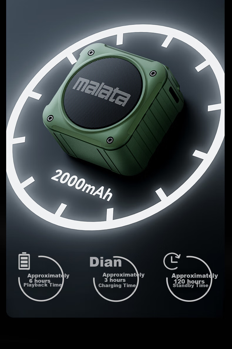 Malata A59 Portable Flash Drive, Personal Audio Player, Outdoor Speaker, Mini FM Radio, Gift for Elderly, Black 4