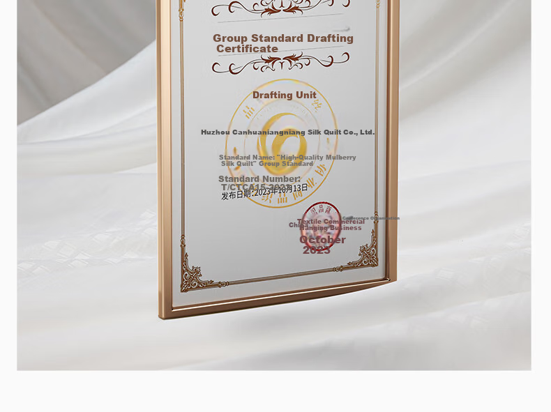 SILKUEEN [Lanyu] 100% Premium Mulberry Silk Comforter Core, All-Season Parent-Child Silk, Weight 1+3 Jin (500g), 220*240cm [White] 17