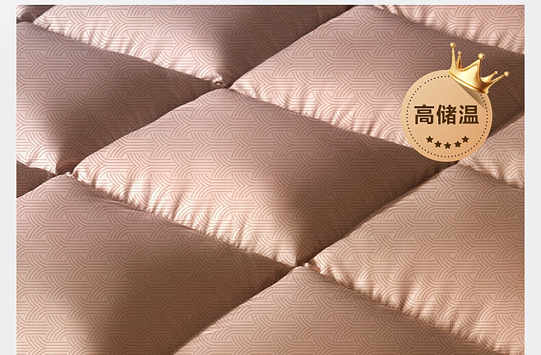Bellees 90% Duck Down Quilt Winter Double Autumn and Winter Comforter 1000g Filling 200x230cm 11
