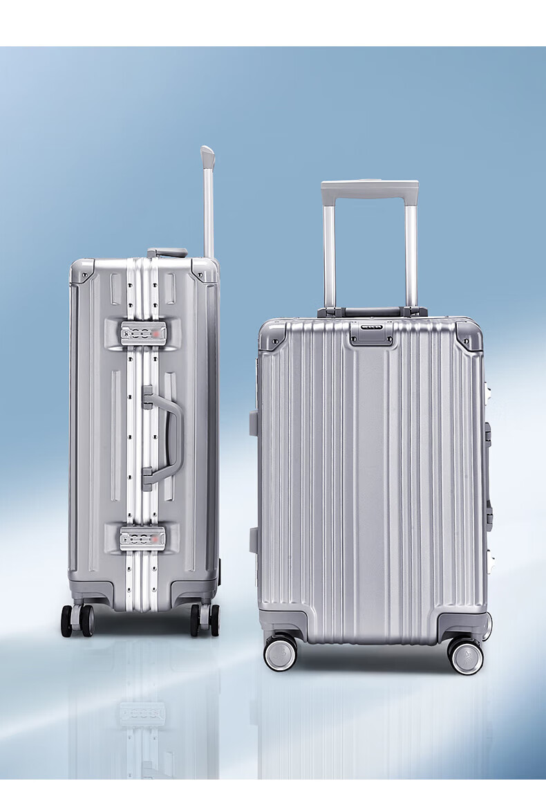 MEXICAN Aluminum Frame Suitcase, Unisex 24-Inch Trolley Case with Password Lock, Travel Luggage for Business Trips, Leather Suitcase, Check-In Luggage, Silver Color 13