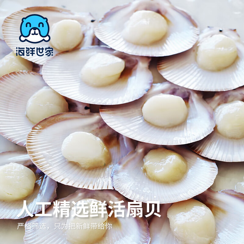 海鲜世家冷冻扇贝柱净重450g 65-80粒 瑶柱 生鲜火锅烧烤食材海鲜生鲜贝类