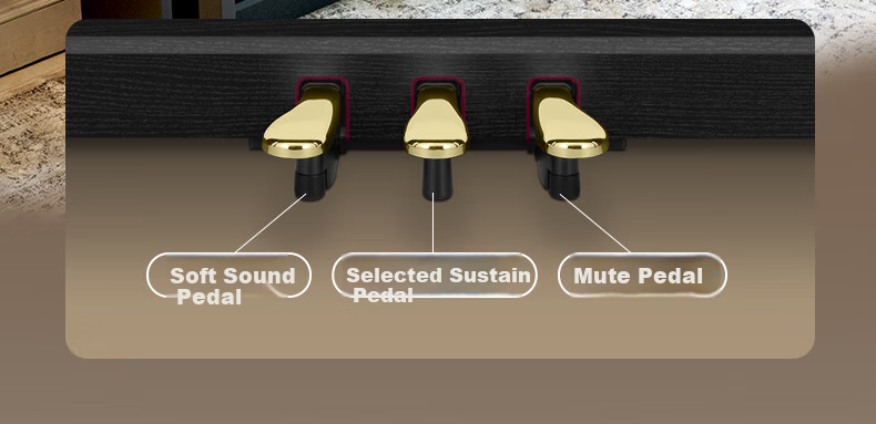 Casio Digital Piano AP300, Black Intelligent 88-Key Weighted Hammer Professional Upright Digital Piano Set 14