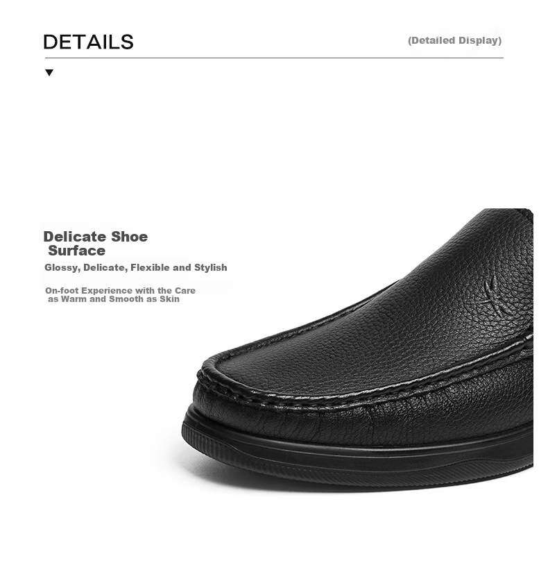 RED DRAGONFLY Casual Leather Shoes, Spring Men's Shoes, Sheepskin Slip-On, Middle-Aged Soft-Soled Dad Shoes WLA15016, Black, Size 41 5
