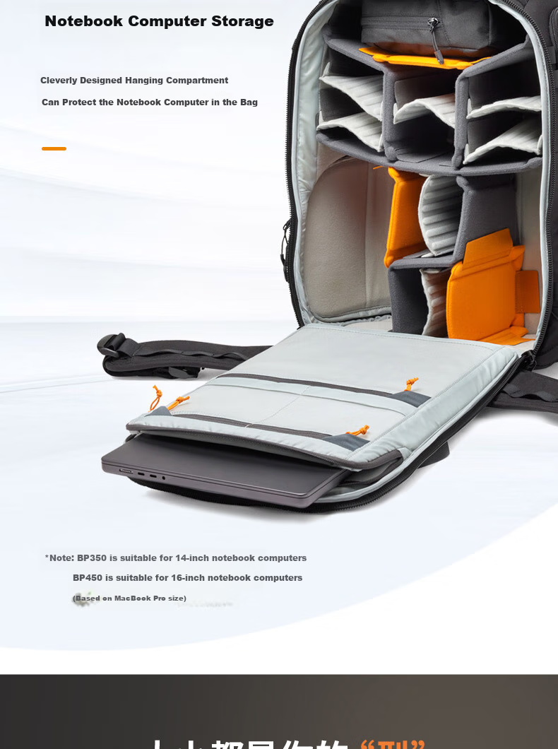 LOWEPRO Le She Bao Jingang San Dai ProTactic BP 350 AW III, Suitable for Mirrorless And DSLR Cameras, Photography Backpack, LP37505-PWW 15