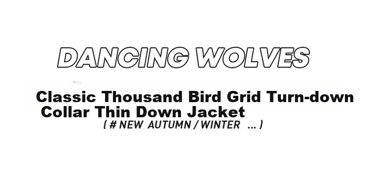DANCING WOLVES [85% White Duck Down] Versatile Houndstooth Lapel Warm Men's down Jacket 003 Medium Gray S(165) 2
