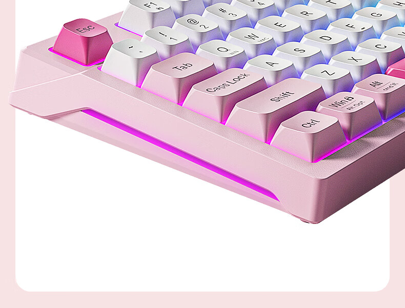 HP K500F Mechanical Feel Wired Keyboard, Quiet Multifunctional Knob for Office And Gaming, Compatible with Desktop Computers And Laptops, Pink And White Color, 98-Key Layout 10