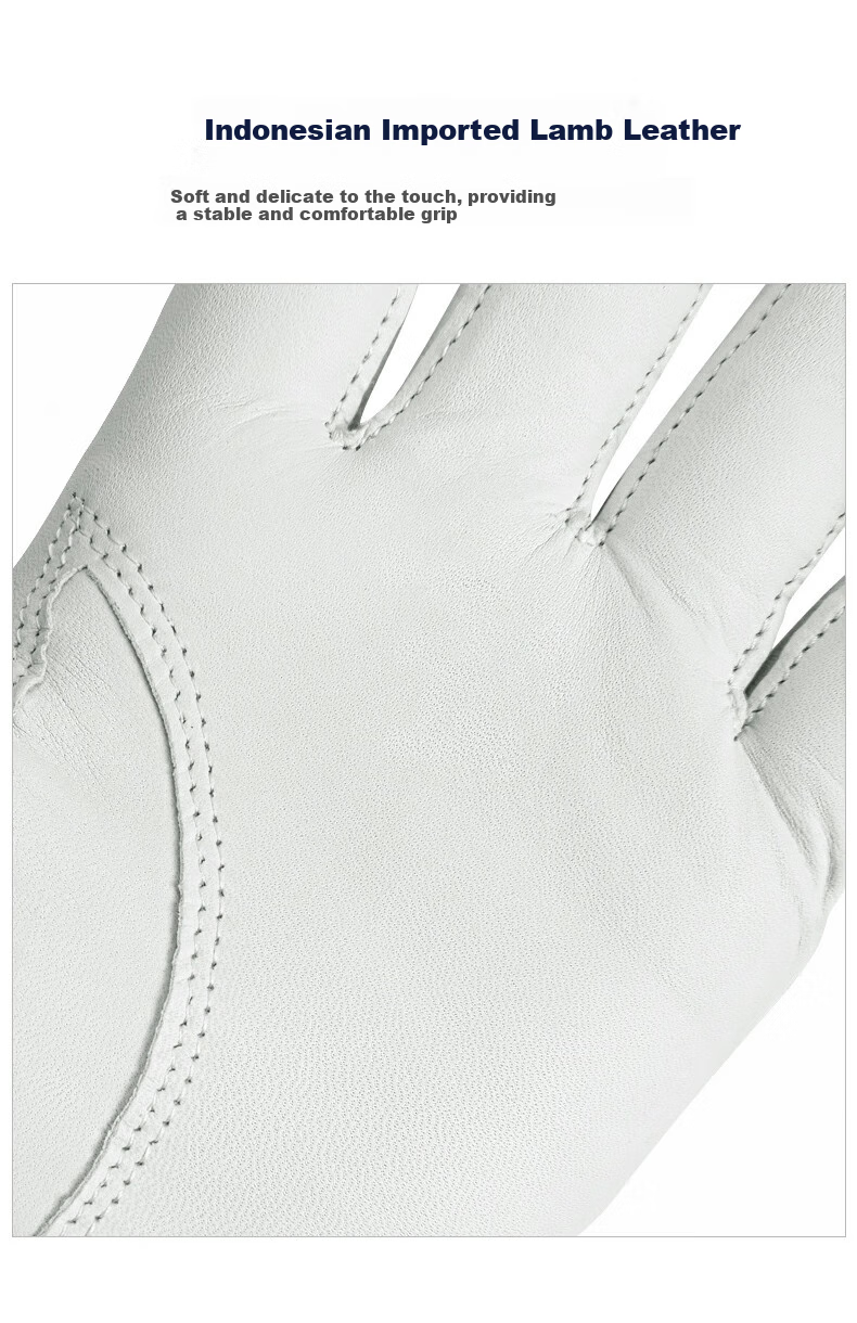 PGM Golf Gloves Men's Lambskin High-Quality Non-Slip Left Hand 2-Pack Size 23 4