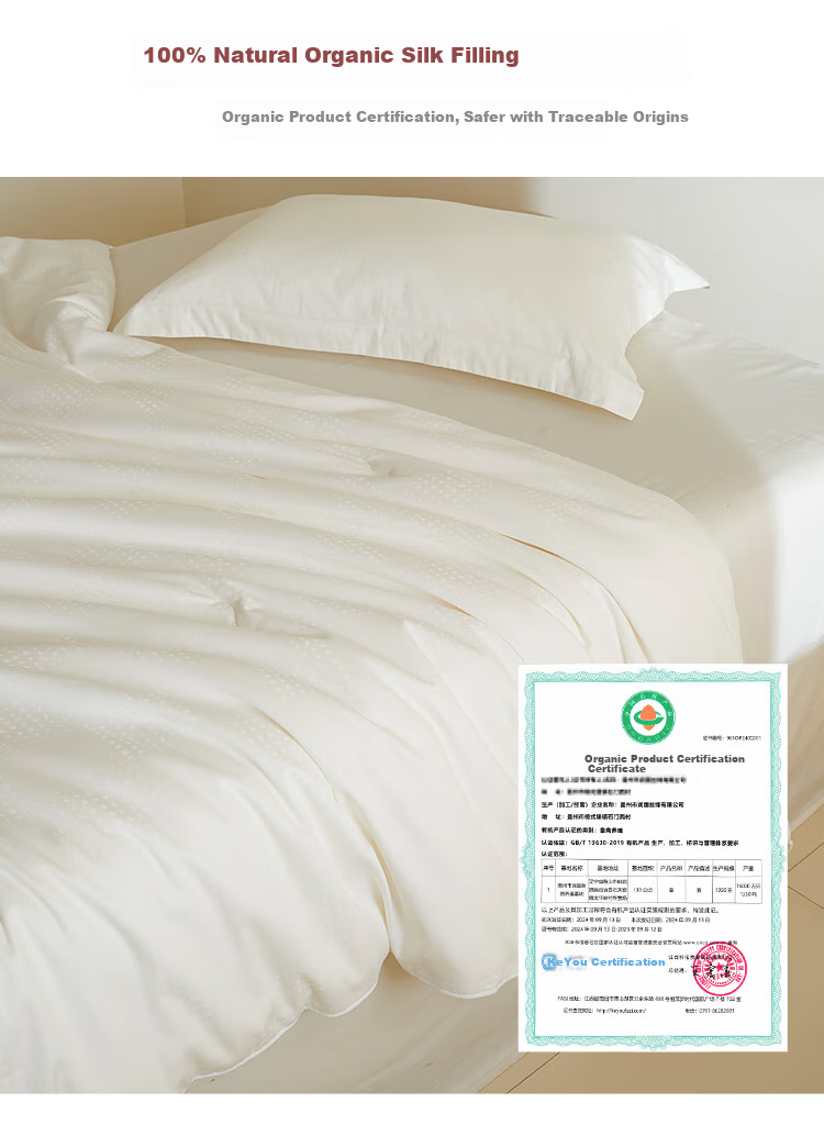 Ciyun Natural Silk Comforter, 100% Medium-Long Fiber Silk, Class A Pure Cotton Spring And Autumn Quilt, 2.2*2.4m, Approximately 4.8 Ji 2