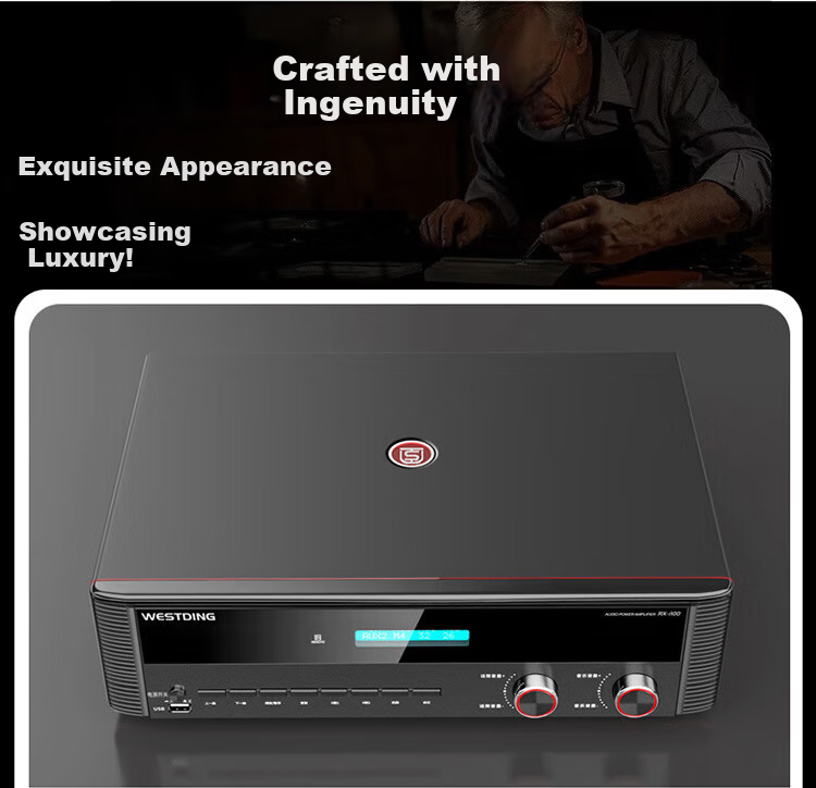 WESTDING Amplifier for Home Theater with Speaker Combination, 2.0 Channel, 1200W Peak Power, AK-393 Amplifier, One Unit 4