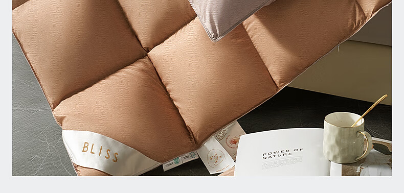 Bellees 90% Duck Down Quilt Winter Double Autumn and Winter Comforter 1000g Filling 200x230cm 8
