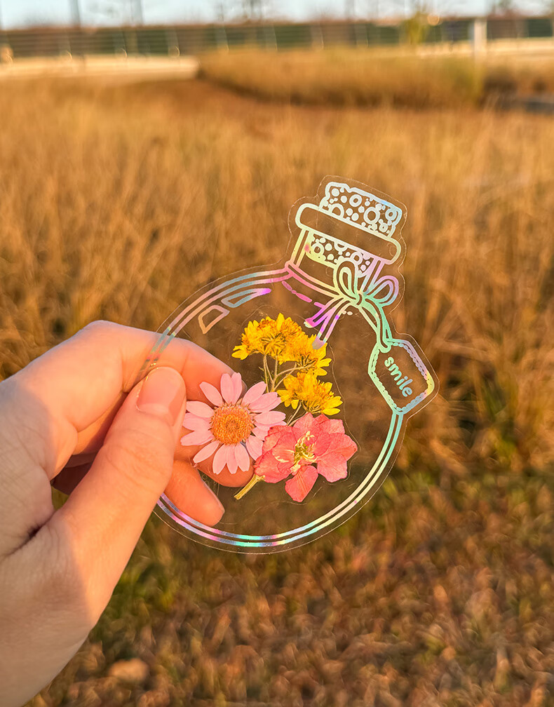 TIANSE Dried Flower Bookmark Pressed Flower Craft Kit Creative Handmade Graduation Souvenir Gift for Boys and Girls Plant Specimen Tassel Material Pack Multicolor 10 Pieces TS-6138 13