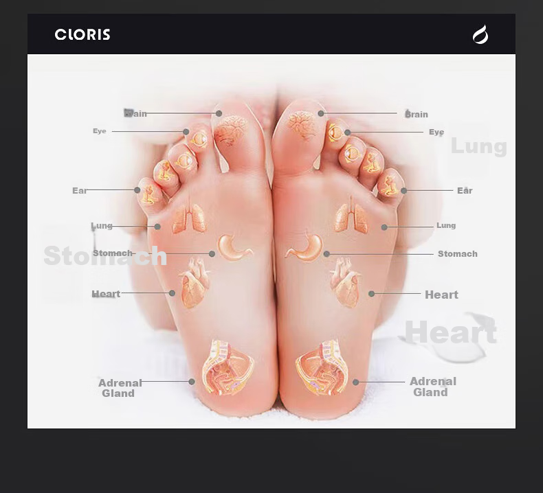 CLORIS F12 Foot Massager Foot Therapy Machine Full-Automatic Hot and Cold Compress Airbag Kneading Acupoint Foot Massager Gift for Wife and Parents 7