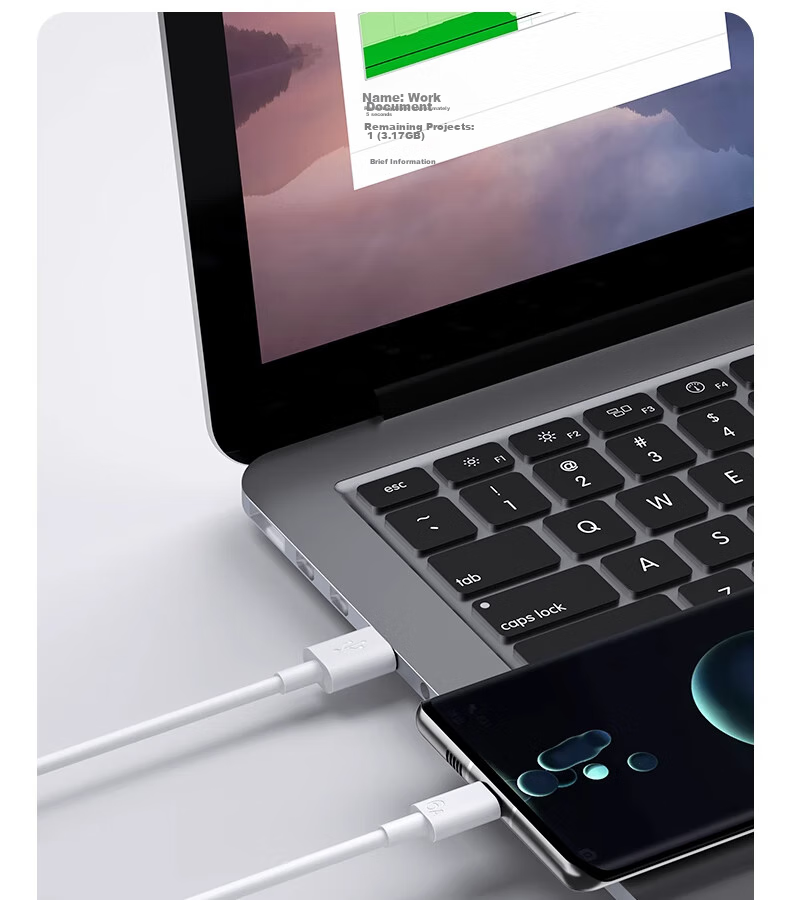 Nengshi Type-C Data Cable, 6A Charging Cable, 100W Super Fast Charging, Suitable for Huawei, Honor, OPPO, Xiaomi, 66W Android Phones, USB-C Fast Charging Cable, 2 Meters, White 22