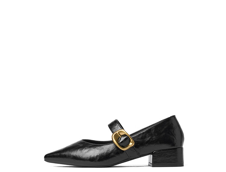 Josiny French Pointed Toe Single-Strap Mary Jane Shoes for Women, New Spring And Autumn 2026 Style Leather Shoes, Retro Chunky Heel Pumps, Black, Size 35 13