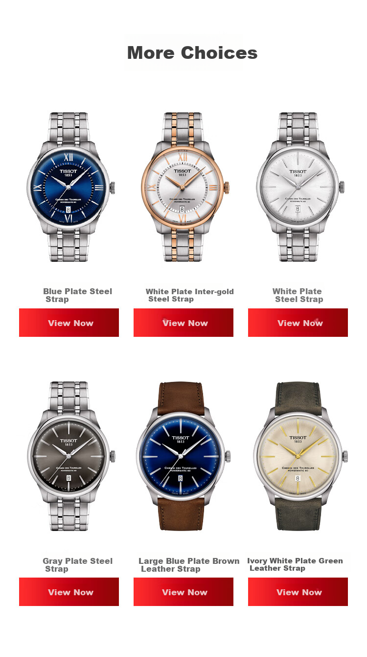 TISSOT New Le Locle Series Men's Watch, Swiss Automatic Mechanical Men's Steel Strap Business Watch, Birthday Gift 13